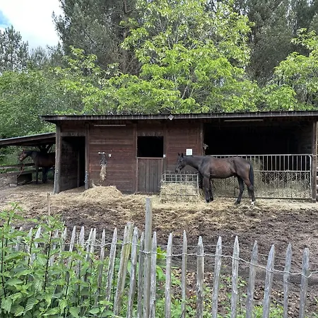 Villa Propriete Entre Foret Et Ocean Ares